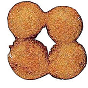 Belshaw Type K / Donut Robot Donut Ball Attachment / Donut Holes Bakery Wholesalers