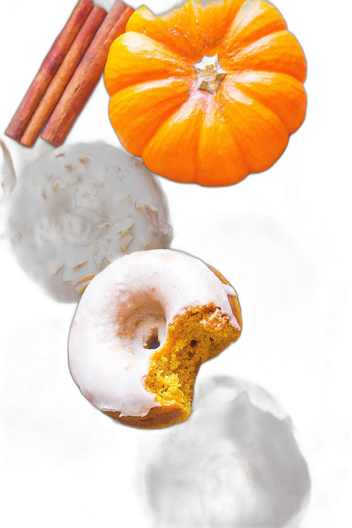 Pumpkin Cake Donut Mix (Seasonal)  50# Bakery Wholesalers