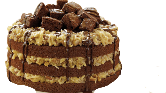 Brill German Chocolate Icing with Pecans 34 pounds RTU Bakery Wholesalers