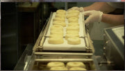 Belshaw Donut Robot® Mark II (8 Variations in variants) Standard Donut /Mini Option Available Bakery Wholesalers